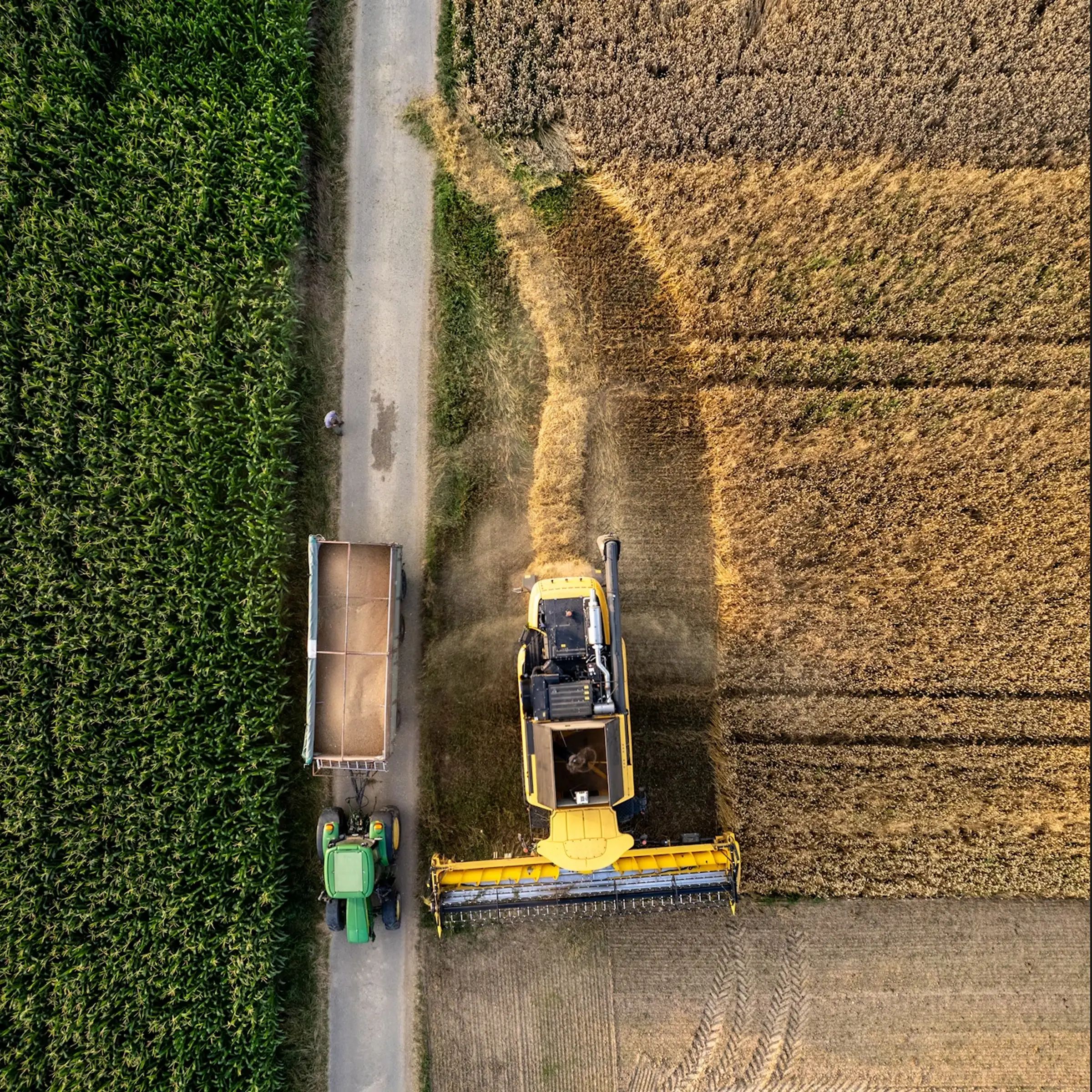 Ornata's connected farm technology in operation